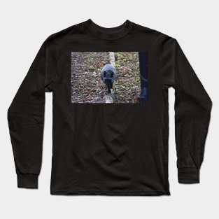 Fox Long Sleeve T-Shirt